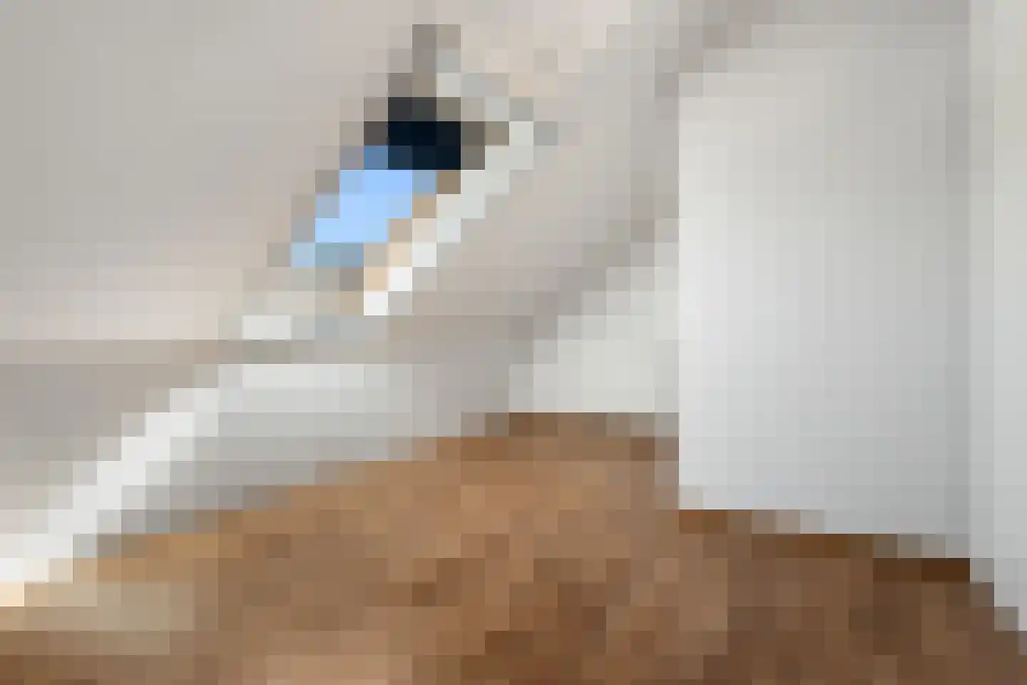 Grote Tiend 14 Echt thumbnail 23
