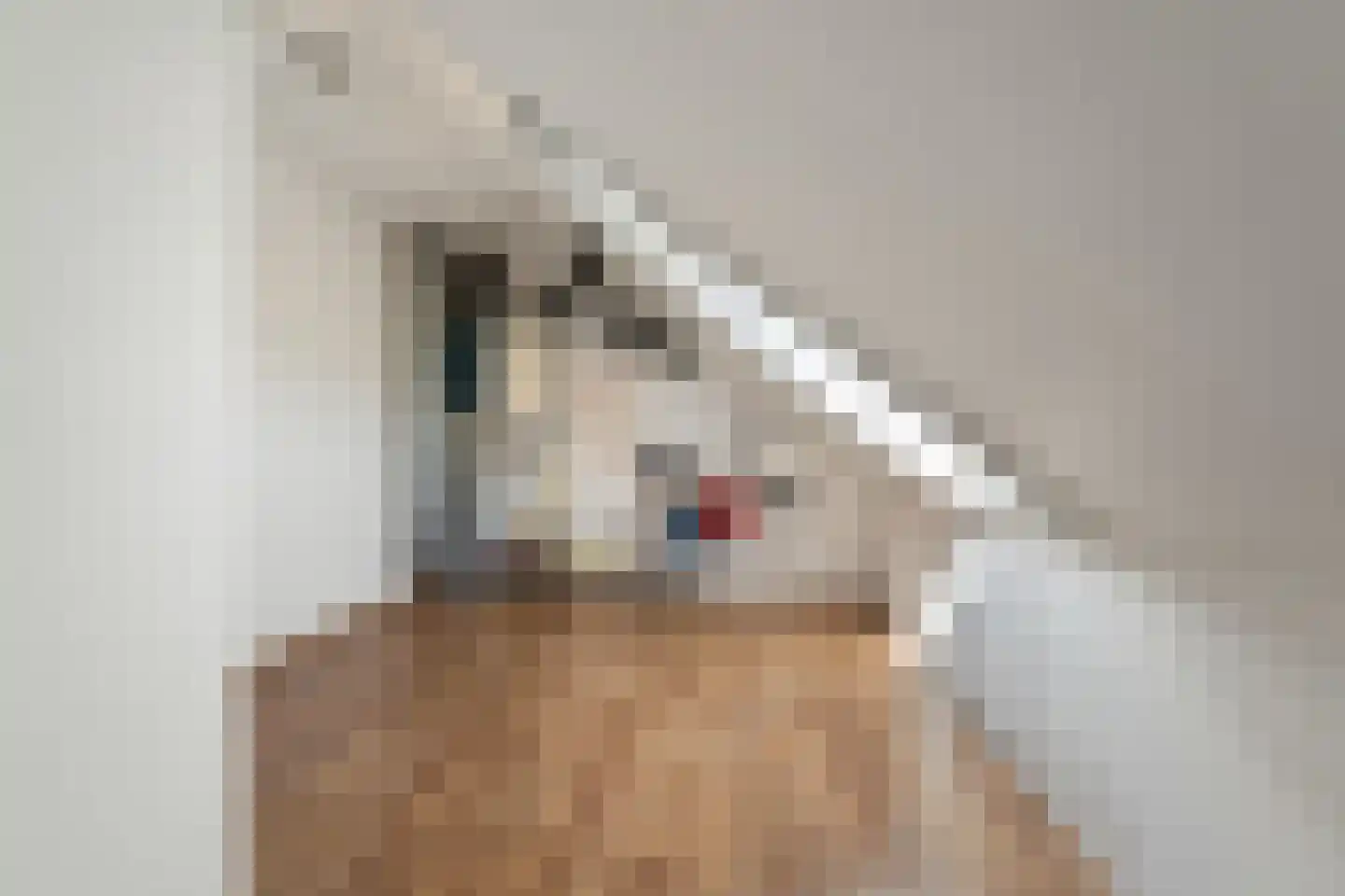 Grote Tiend 14 Echt thumbnail 25
