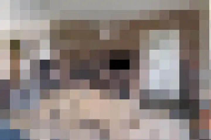Grote Tiende 15 Kruisland thumbnail 12
