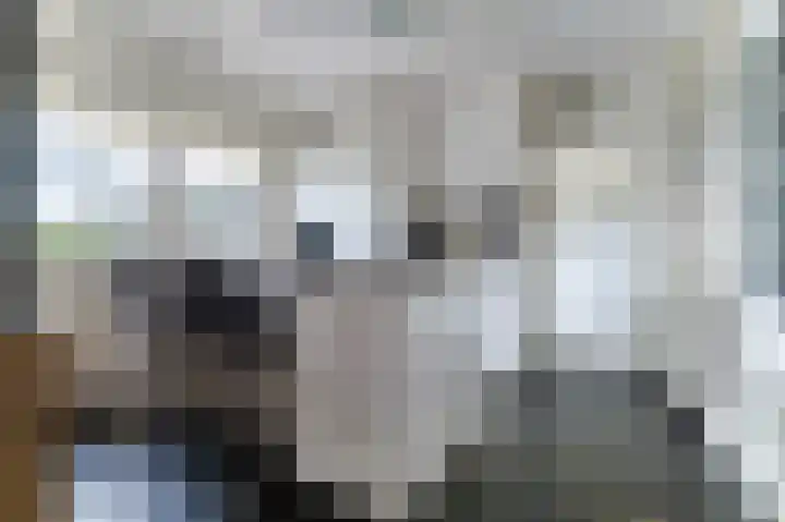 Grote Tiende 15 Kruisland thumbnail 16