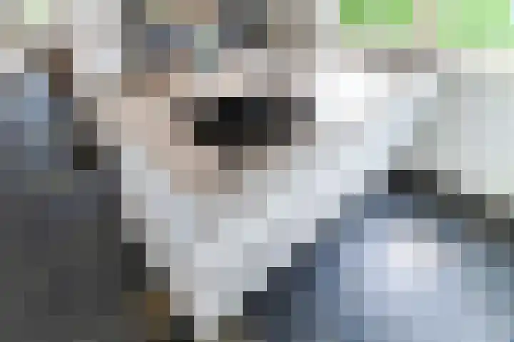 Grote Tiende 15 Kruisland thumbnail 18