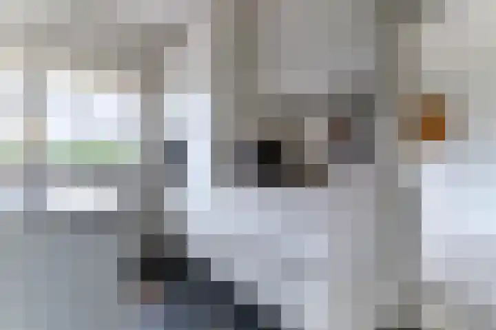 Grote Tiende 15 Kruisland thumbnail 19