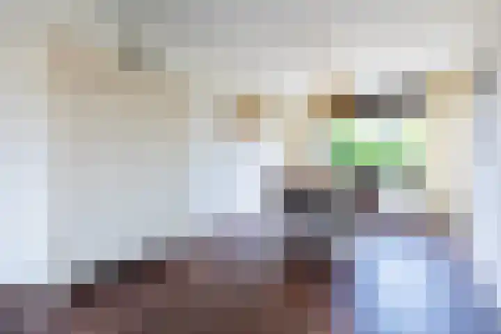 Grote Tiende 38 Kruisland thumbnail 17