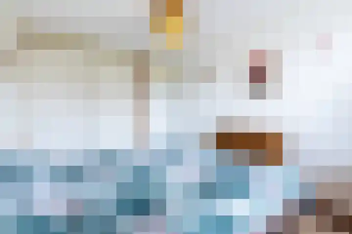 Grote Tiende 38 Kruisland thumbnail 30