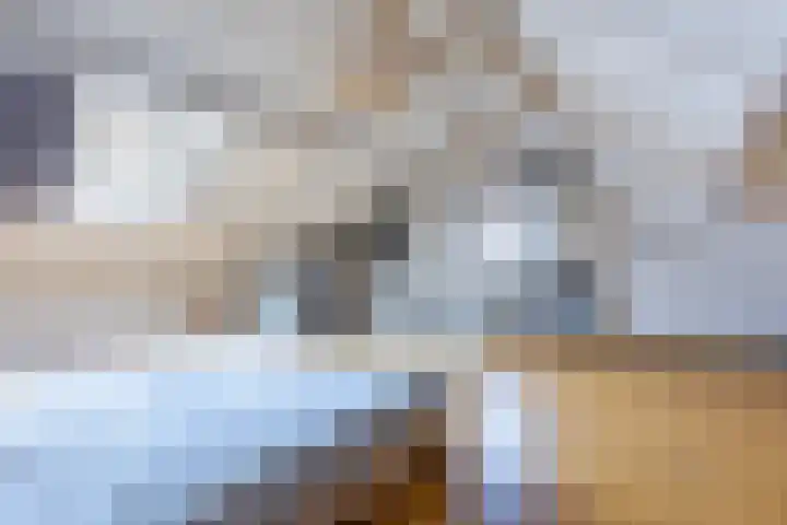 Grote Tiende 38 Kruisland thumbnail 39