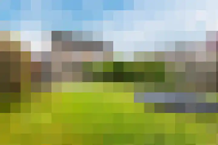 Grote Tiende 38 Kruisland thumbnail 4