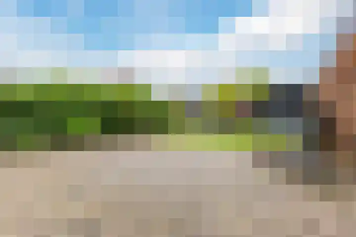 Grote Tiende 38 Kruisland thumbnail 47