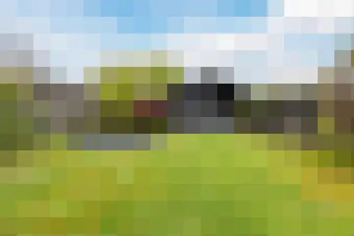 Grote Tiende 38 Kruisland thumbnail 48