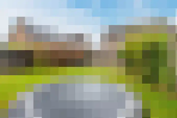 Grote Tiende 38 Kruisland thumbnail 49
