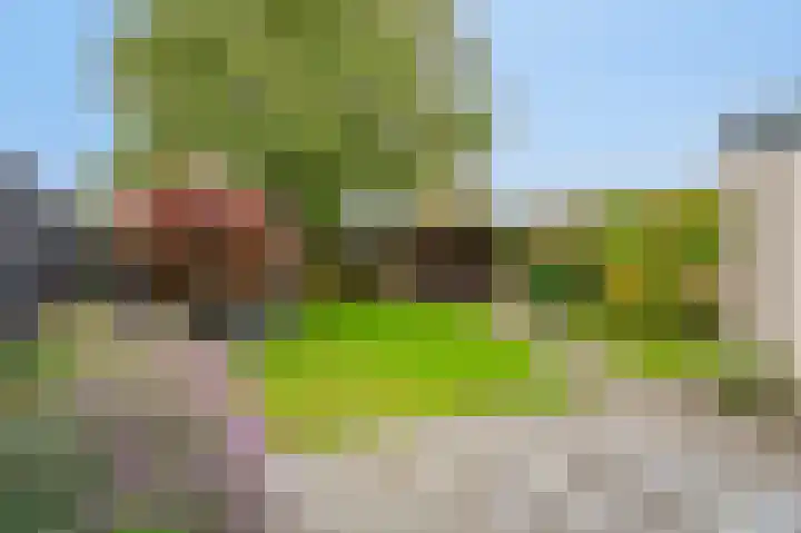 Grote Tienden 11 Papenhoven thumbnail 29
