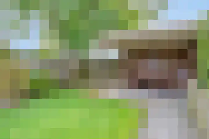 Grote Tienden 11 Papenhoven thumbnail 30