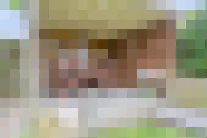 Grote Tienden 11 Papenhoven thumbnail 31