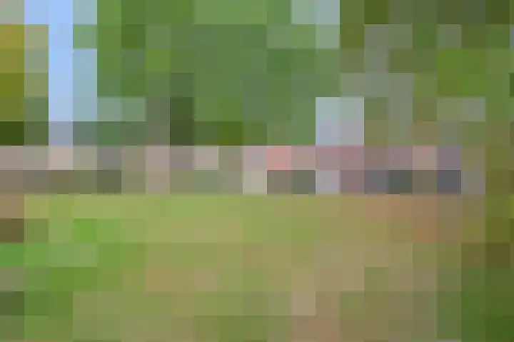 Grote Tienden 11 Papenhoven thumbnail 5