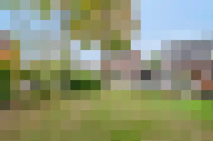 Grote Tienden 11 Papenhoven thumbnail 7