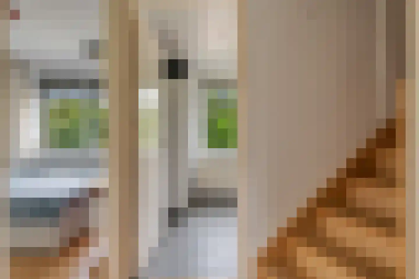 Grote Vaartlaan 11 Veendam thumbnail 28