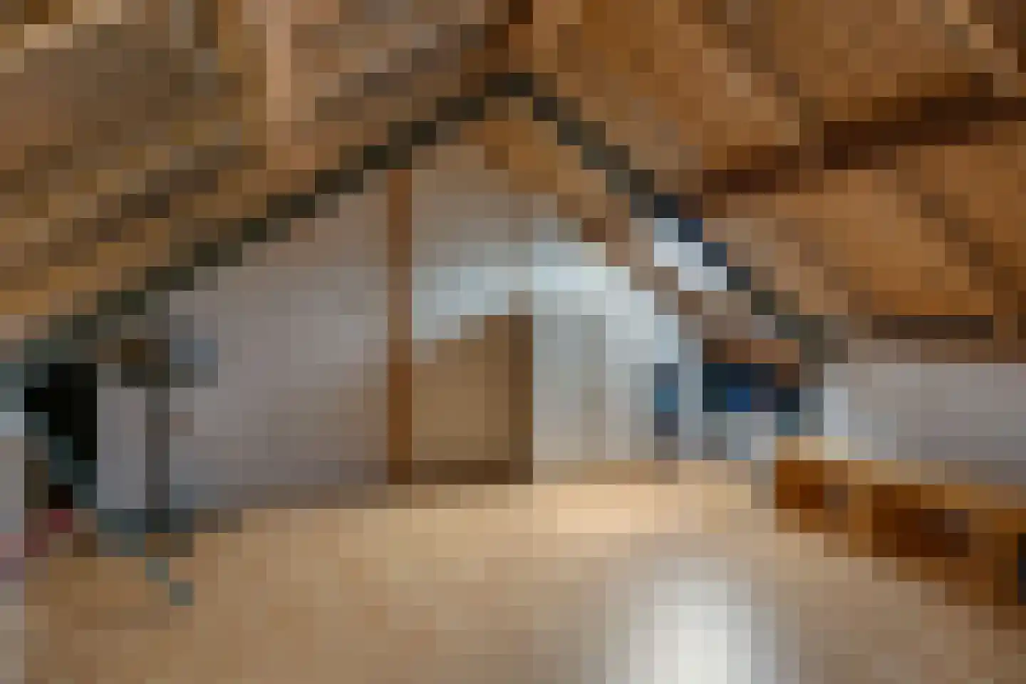 Grote Vaartlaan 11 Veendam thumbnail 29