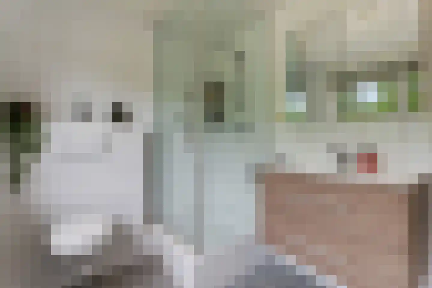 Grote Vaartlaan 11 Veendam thumbnail 5