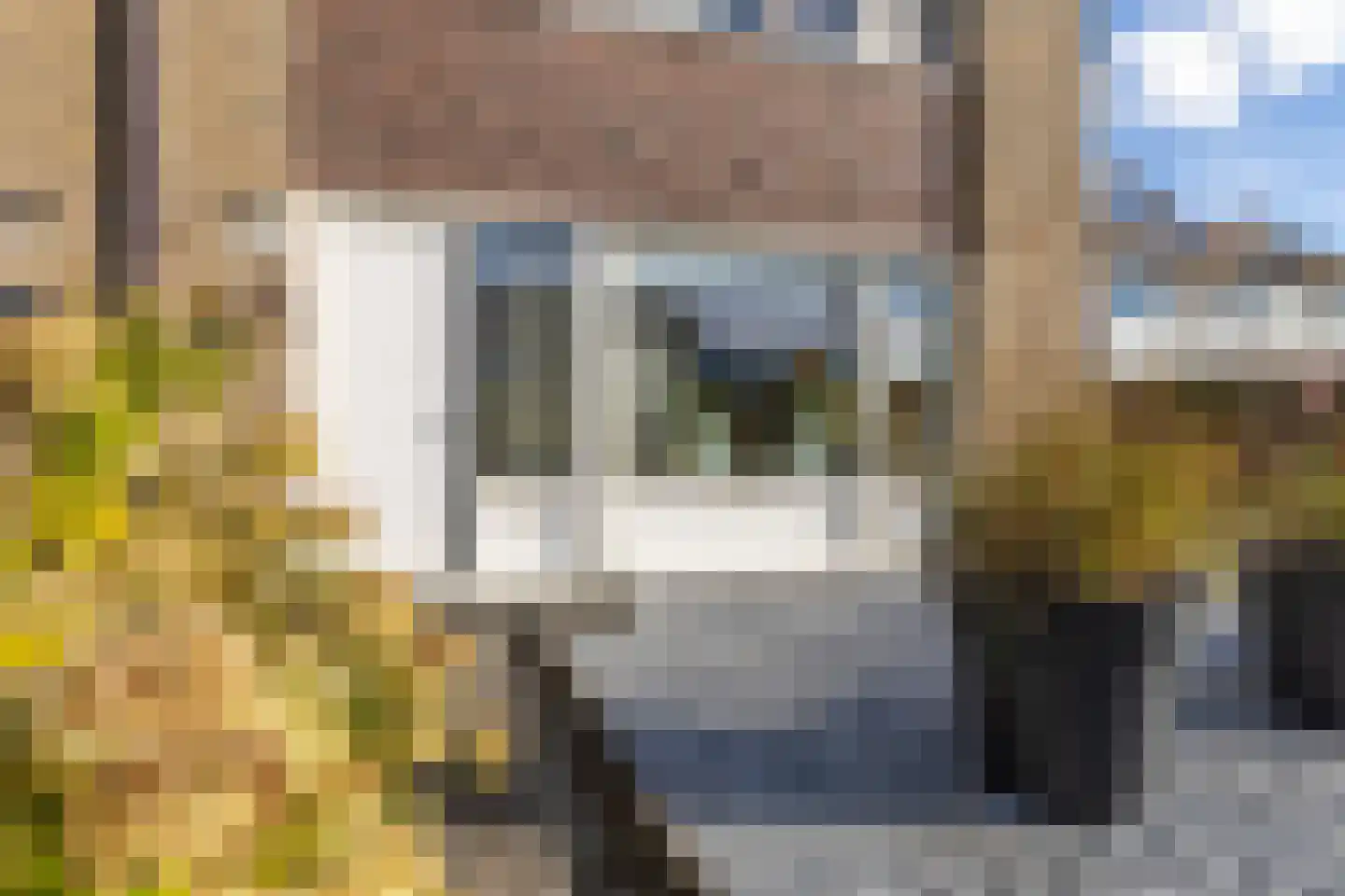 Grote Vaartlaan 75 Veendam thumbnail 6