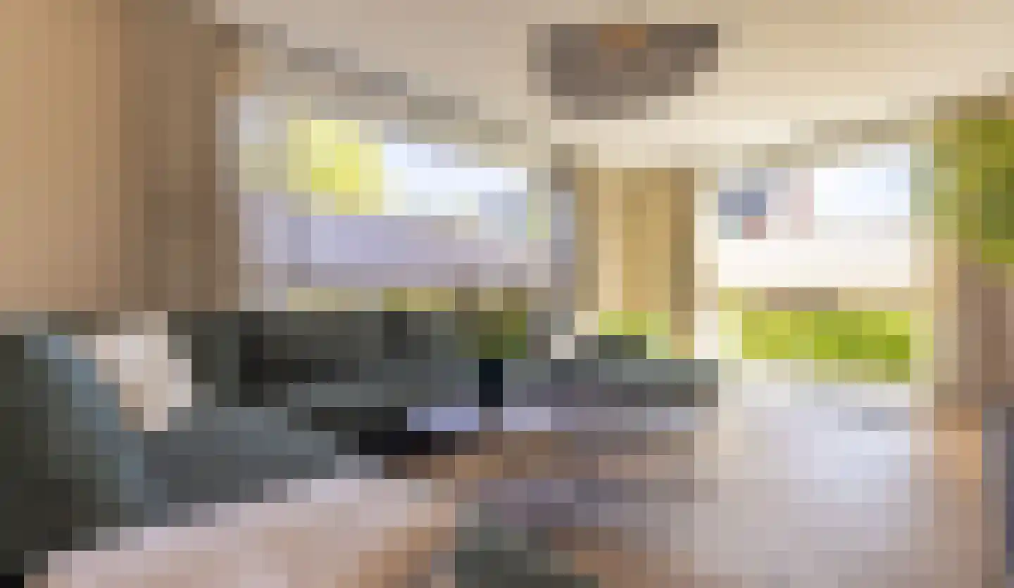 Grote Veen 42 Hattem thumbnail 10