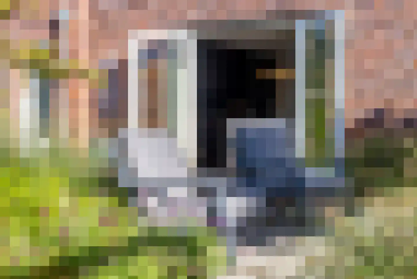 Grote Veen 42 Hattem thumbnail 43