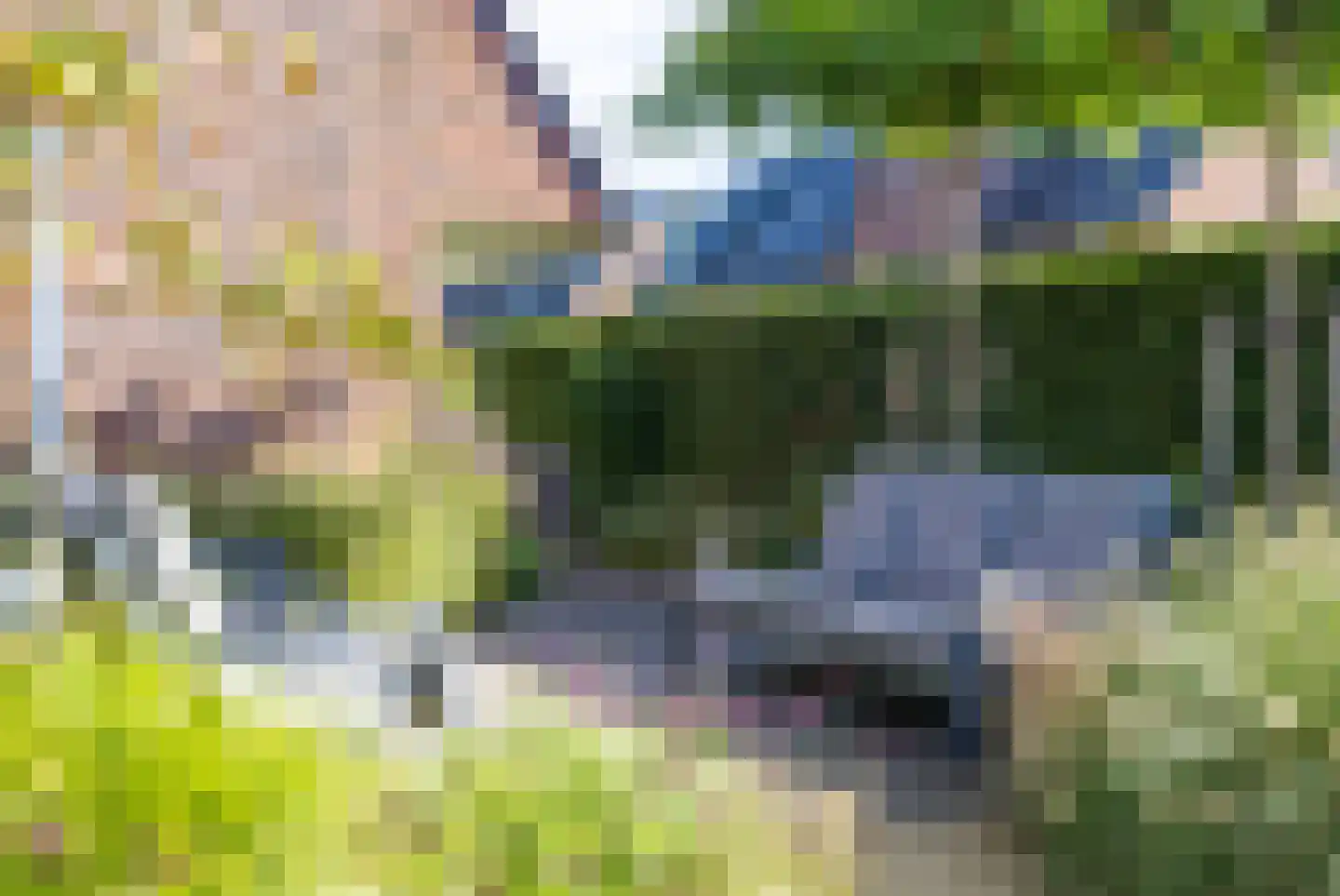 Grote Veen 42 Hattem thumbnail 44
