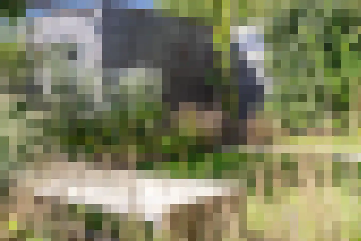 Grote Veen 42 Hattem thumbnail 48
