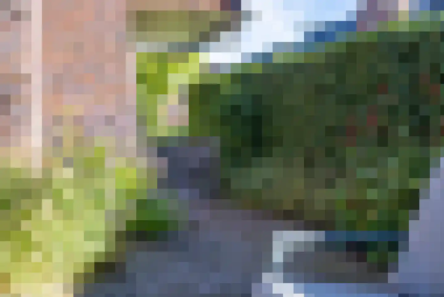 Grote Veen 42 Hattem thumbnail 52
