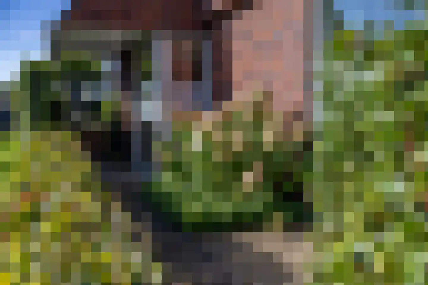 Grote Veen 42 Hattem thumbnail 53