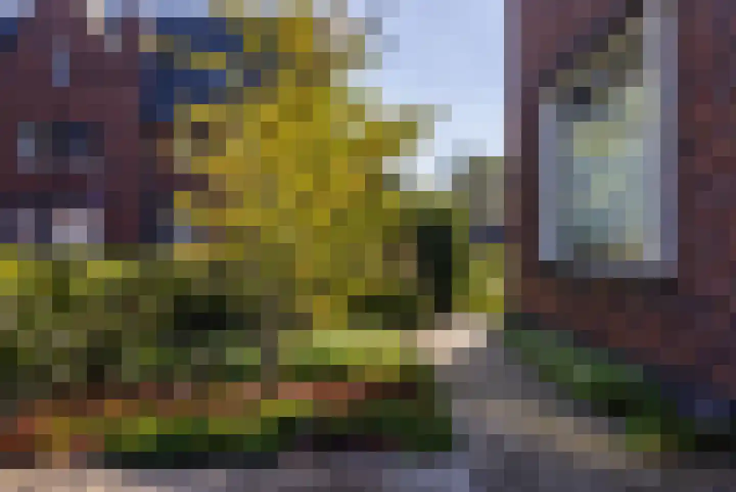 Grote Veen 42 Hattem thumbnail 54