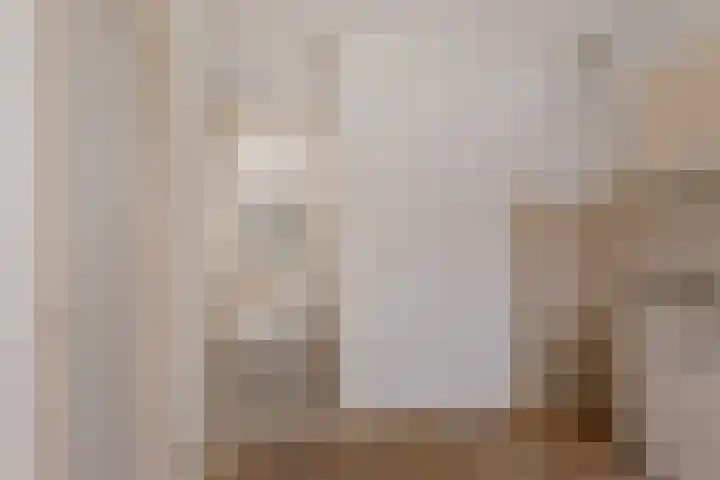 Grote Veenbrandstraat 12 Zevenhuizen thumbnail 10