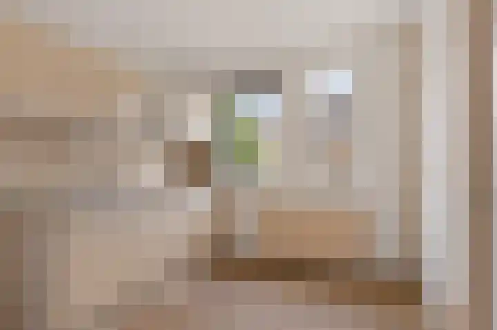 Grote Veenbrandstraat 12 Zevenhuizen thumbnail 11