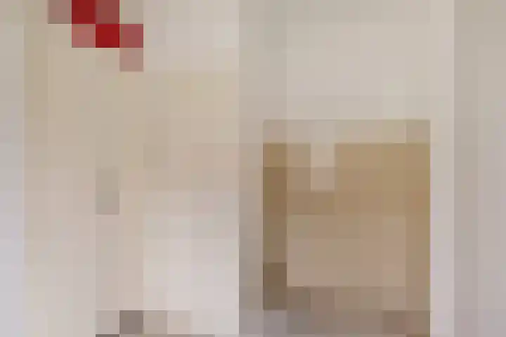 Grote Veenbrandstraat 12 Zevenhuizen thumbnail 13