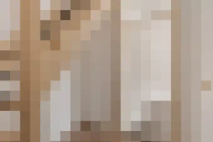 Grote Veenbrandstraat 12 Zevenhuizen thumbnail 15