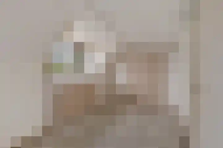 Grote Veenbrandstraat 12 Zevenhuizen thumbnail 16