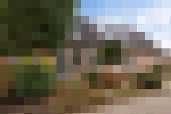 Grote Veenbrandstraat 12 Zevenhuizen thumbnail 28