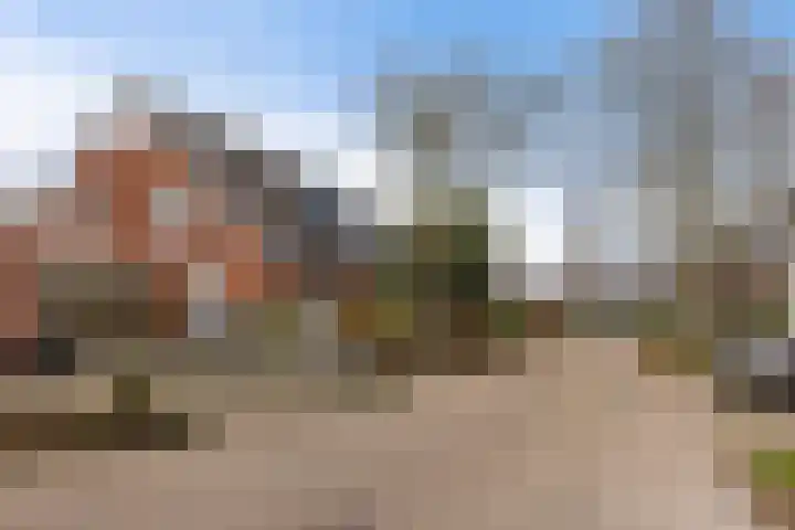 Grote Veenbrandstraat 12 Zevenhuizen thumbnail 29