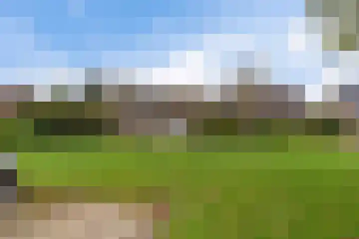 Grote Veenbrandstraat 12 Zevenhuizen thumbnail 30