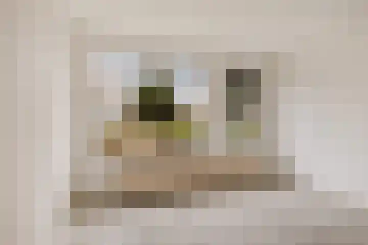 Grote Veenbrandstraat 12 Zevenhuizen thumbnail 5