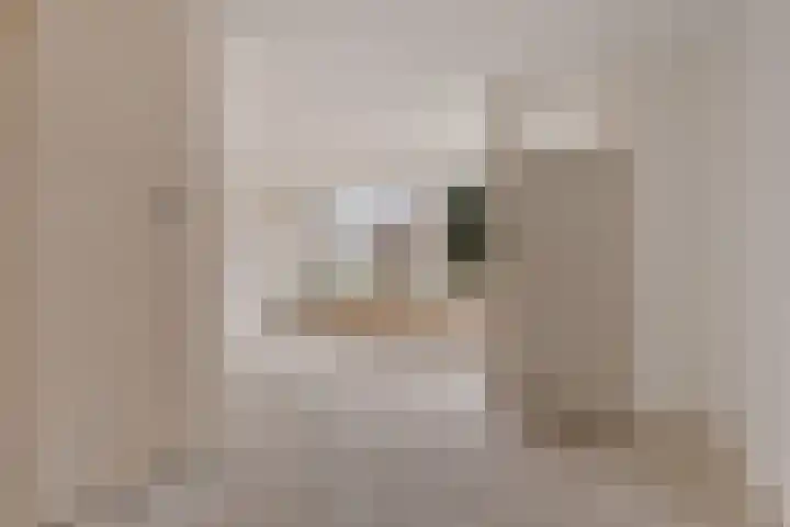 Grote Veenbrandstraat 12 Zevenhuizen thumbnail 6