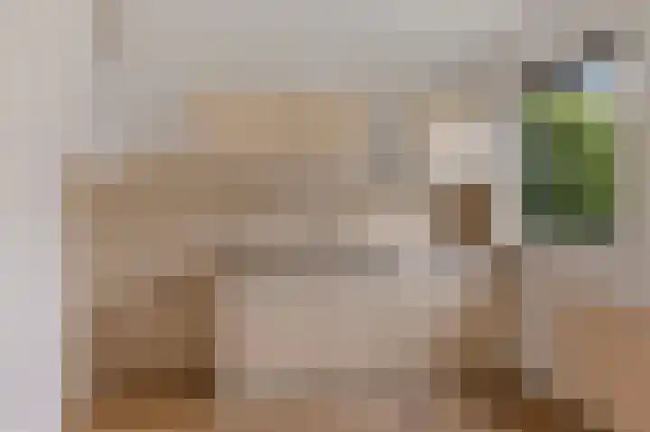Grote Veenbrandstraat 12 Zevenhuizen thumbnail 9