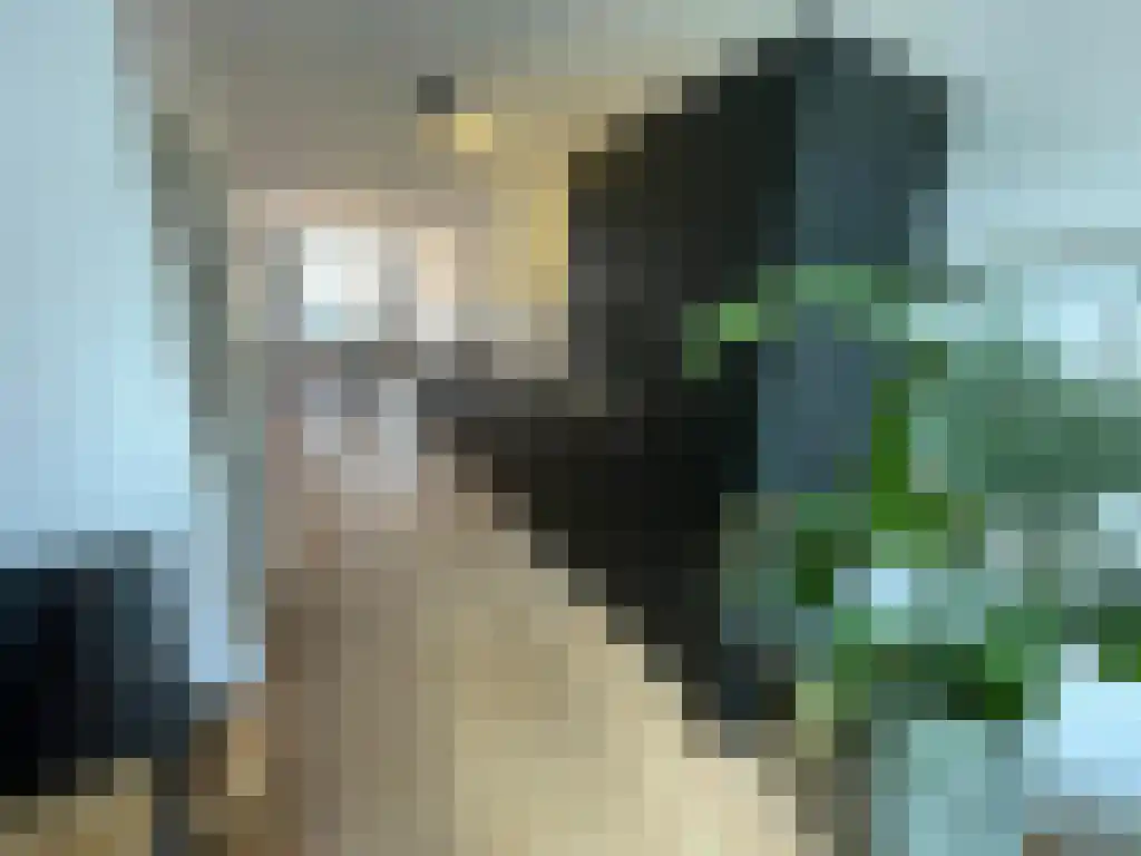 Grote Visserijstraat 16 Rotterdam thumbnail 4