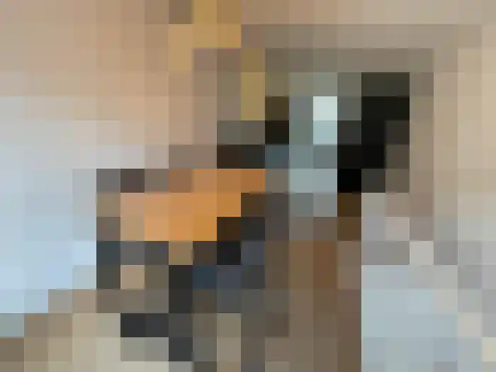 Grote Visserijstraat 16 Rotterdam thumbnail 8