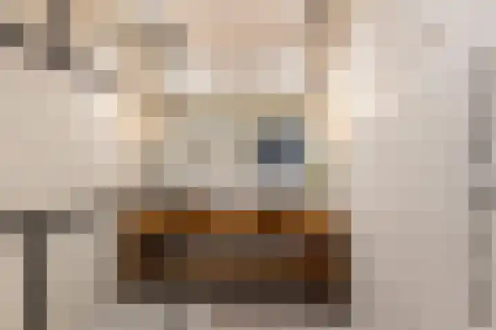Grote Visserijstraat 3 A Rotterdam thumbnail 17
