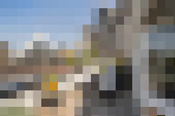 Grote Visserijstraat 3 A Rotterdam thumbnail 28