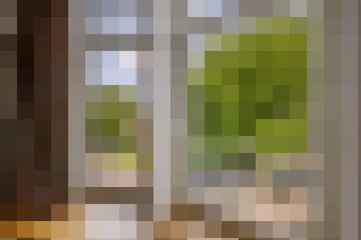 Grote Visserijstraat 3 A Rotterdam thumbnail 7