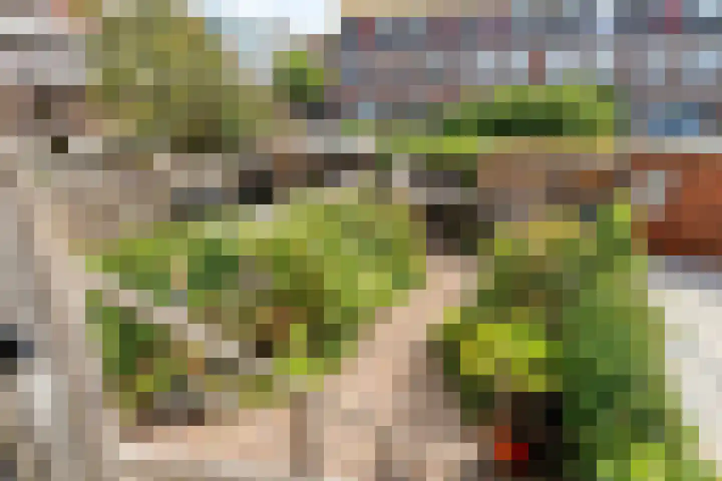 Grote Visserijstraat 52 A Rotterdam thumbnail 4