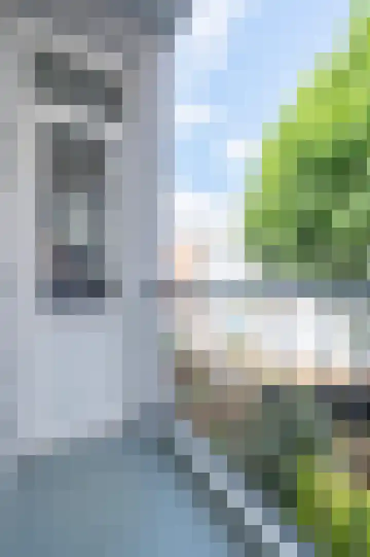 Grote Visserijstraat 55 A BE Rotterdam thumbnail 5