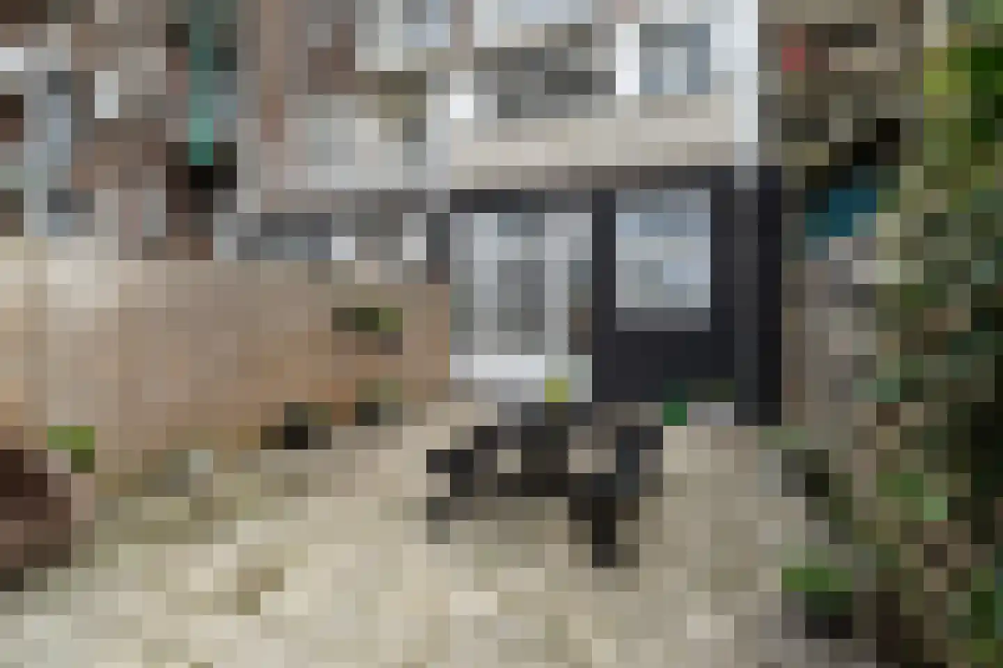 Grote Visserijstraat 61 A Rotterdam thumbnail 32