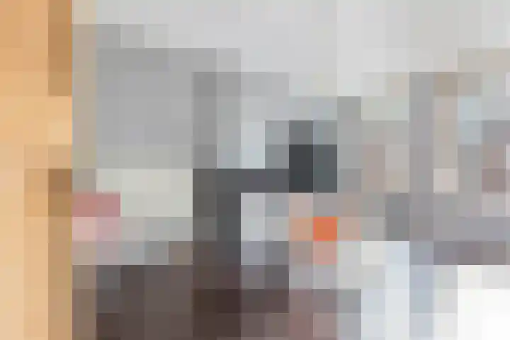 Grote Visserijstraat 8 D Rotterdam thumbnail 5