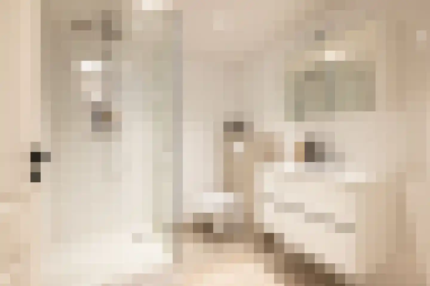 Grote Visserijstraat 80 B Rotterdam thumbnail 4
